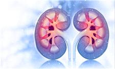 سلامت مغز با عملکرد کلیه‌ها مرتبط است