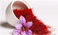 تأیید نقش کلیدی تغییرات کروموزومی در تنوع‌زایی و تکامل زعفران‌های ایران