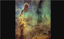 عکسی از خرطوم فیل در آسمان!