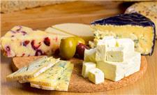 پنیر پرچرب و خامه می‌توانند از مغز در برابر زوال عقل محافظت کنند