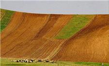 خاک، قربانی خاموش تبدیل مراتع به زمین‌های کشاورزی