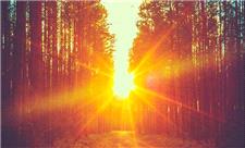 دستاوردی که می‌تواند معادلات ذخیره‌سازی و حمل انرژی خورشیدی را دگرگون کند