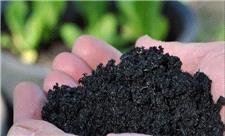 پژوهشی درباره پیوند ضایعات کشاورزی و تغذیه پایدار گیاهان