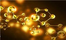 پژوهش شناسایی فلزات سنگین به همت دانش آموخته تربیت مدرس نهایی شد