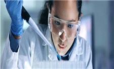 دانشجویان ریسک‌پذیری را از استادشان به ارث می‌برند