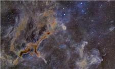 زرافه‌ای در دل کهکشان!