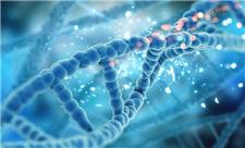 DNA در نقش معمار نانو؛ راهی تازه برای طراحی سه‌بعدی مواد پیشرفته