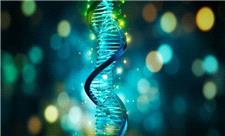 راهی تازه برای طراحی سه‌بعدی مواد پیشرفته با کمک DNA