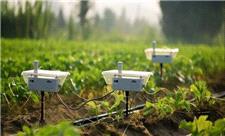 سامانه‌ای برای برآورد دقیق میزان آب مورد نیاز گیاهان