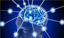 ارتباط ساعت داخلی بدن با خطر زوال عقل