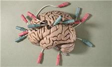 شنیدن صدای دوپامین در مغز زنده