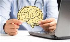 اگر نگران مغزتان هستید این کار ساده را در اولویت قرار دهید
