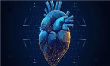 امکان افزایش دقت نمایش عروق کرونری قلب با هوش مصنوعی