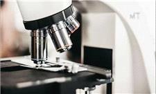 رتبه‌های برتر ایران در ژن‌تراپی و ویرایش ژن