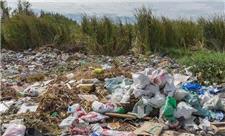 پلاستیک‌ها 83 میلیون سال زندگی سالم را ربودند