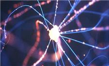 حلقه گمشده بین پارکینسون و آسیب به سلول‌های مغزی کشف شد