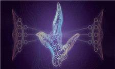 هوش مصنوعی، دایناسورها را از روی ردپایشان می‌شناسد