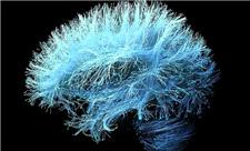 رقیب جدید نورالینک با امواج فراصوت وارد میدان شد