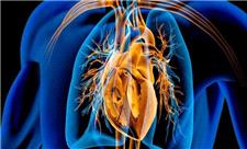 فواید داروی لاغری پرمصرف این روزها برای قلب