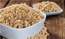 سویا باعث سرطان سینه می‌شود؟