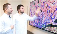 امیدی تازه برای بیماران پیوند کلیه؛ کشف نشانگر پیش‌بینی‌کننده عمر پیوند