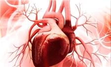 سلامت قلب افراد شب زنده دار در معرض خطر است