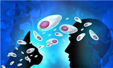 معمای دیرینه درمان توکسوپلاسما حل شد