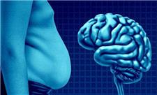 چربی می‌تواند مغز را کوچک کند