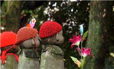 ریشه بسیاری از سقط‌جنین‌ها به دوران پیش از تولد مادر بازمی‌گردد