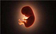 سقط جنین از نگاه مردان؛ روایتی کمتر شنیده‌شده