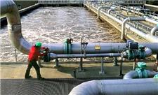 تبدیل ضایعات چوب به جاذب تصفیه پساب‌های صنعتی در دانشگاه آزاد شهرری