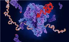 میکسری که نیاز به آزمایش روی حیوانات را از بین می‌برد