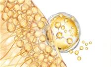 چرا بدن در زمان آسیب، رشد مو را متوقف می‌کند