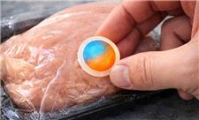 ایروژل‌های هوشمند برای تشخیص فساد مواد غذایی طراحی شدند