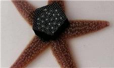 حرکت با صدها پا و بدون مغز؛ معمایی که رباتیک را متحول می‌کند