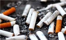 یکی از آلوده‌ترین زباله‌ها، ناجی انرژی پاک شد