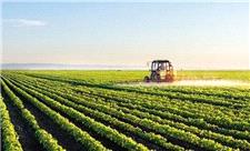 رفع تنگناهای فناورانه زنجیره برای کاهش وابستگی در حوزه غذا و کشاورزی