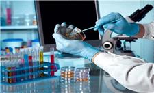 رصد جهش ژنتیکی در فرزندان پاکسازی‌کنندگان حادثه چرنوبیل