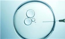 کشف لقاح مصنوعی؛ وقتی چُرت یک مادر، زندگی میلیون‌ها نفر را دگرگون کرد