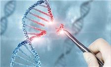 معکوس کردن مقاومت باکتریایی با فناوری کریسپر