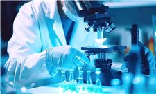 اعطای 7 همت تسهیلات به 55 شرکت دانش‌بنیان برای تأمین مالی پایدار