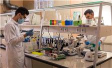 ایران در جمع 20 کشور برتر جهان در تولیدات علمی علوم شناختی