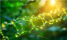 تولید هیدروژن از آب با کمک مواد کوانتومی