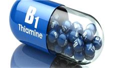 اثبات یک نظریه 67 ساله درباره ویتامین «B1»