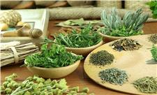 حرکت در مسیر نفوذ فناوری در صنعت گیاهان دارویی