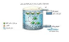 نانوکلکتورهای سبز، راهکار جدید امیرکبیر برای کنترل آلودگی‌ پساب صنعتی
