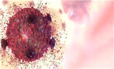 رمزگشایی از یک ترکیب گیاهی نادر برای مبارزه با سرطان