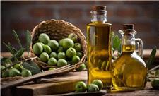 تسریع رشد تومور پانکراس با مصرف نوعی چربی