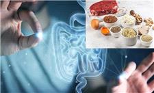 تاثیر شگفت‌آور یک ماده موجود در غذاهای پروتئینی‌ بر ترمیم روده
