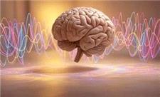 چرا بعضی آهنگ‌ها از ذهن پاک نمی‌شوند؟